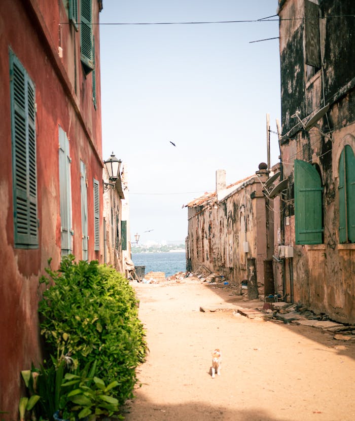 Sand Street in Town in Senegal