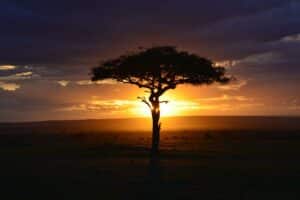 Coucher de soleil senegal pour illustrer la teranga senegalaise